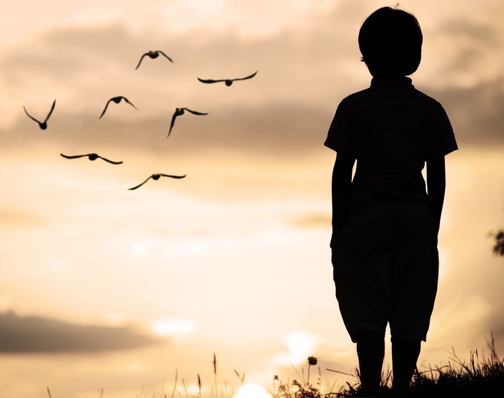 Alone kid standing on field looking far away on birds flock